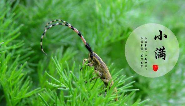 上?？婆d儀器